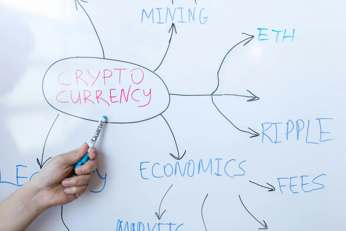 What Is Price Action Trading? A Beginner's Introduction